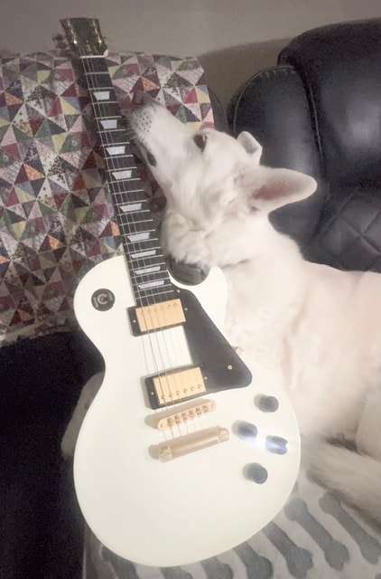 Eddie snuggling white Les Paul guitar